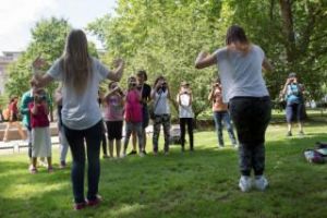 Baltischer Bernstein Plecoptera