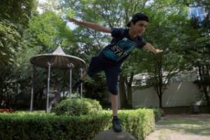 Baltischer Bernstein Plecoptera