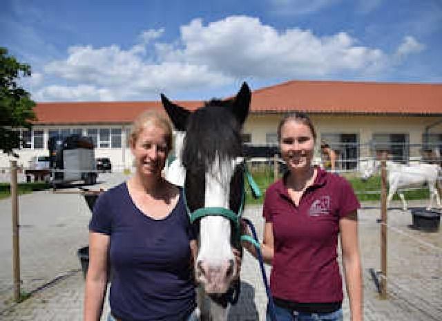 Ein Pferd steht in der Mitte von zwei lächelnden Menschen.