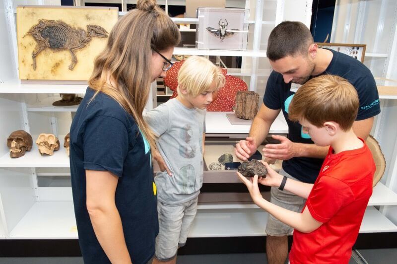 Zwei Museumspädagog*innen zeigen zwei neugierigen Kindern ein Fossil in einem Wissenschaftsmuseum; im Hintergrund Exponate wie Schädel und Insektenpräparate.