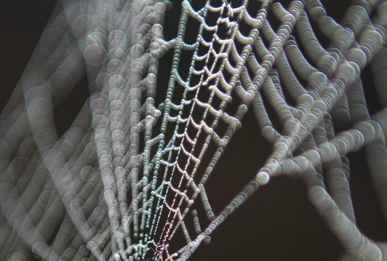 Das freie Bildarchiv für Naturschutz