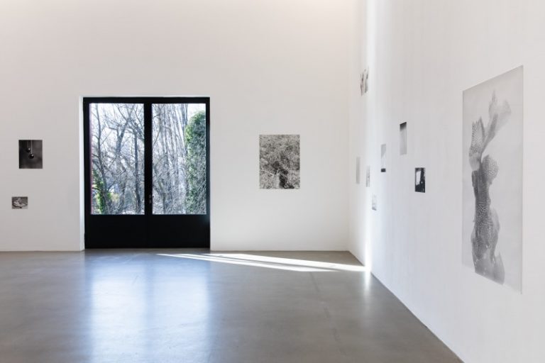 Ausgeprägtes Interesse für das Leben