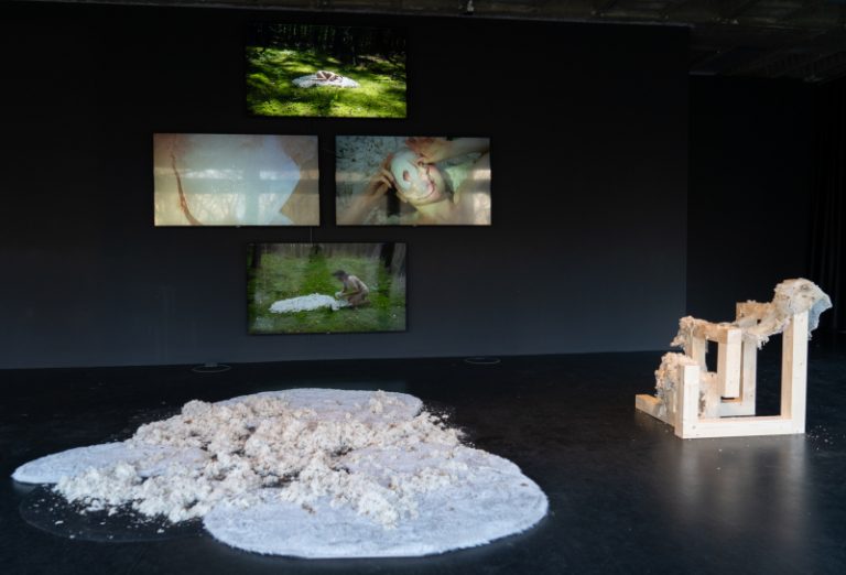 Die Oszillation der Zugehörigkeit